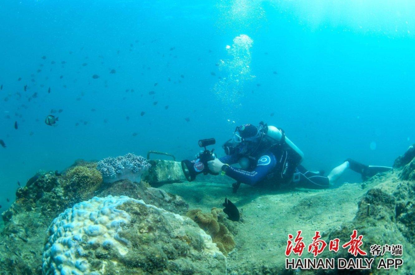 初体计划