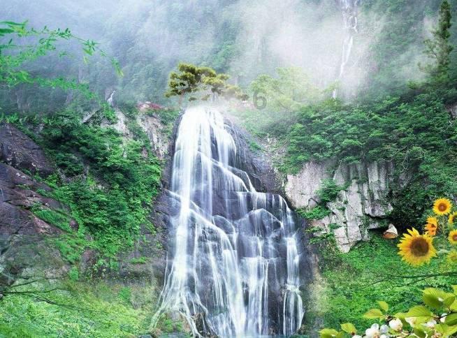 城区梅花盛放 市民公园邂逅“梅”好